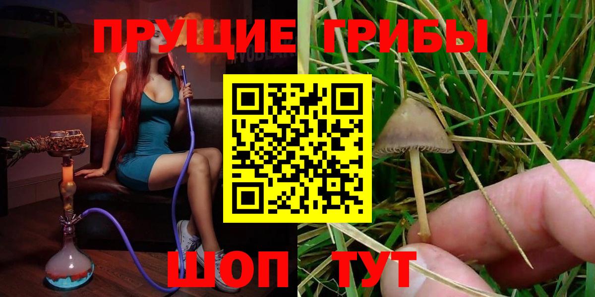 Галлюциногенные грибы Psilocybe Ярославль