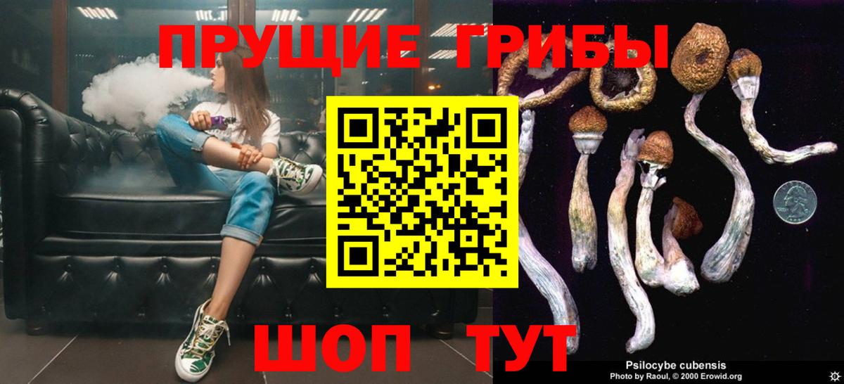 Ярославль  Псилоцибиновые грибы Magic Shrooms  Вход с VPN 